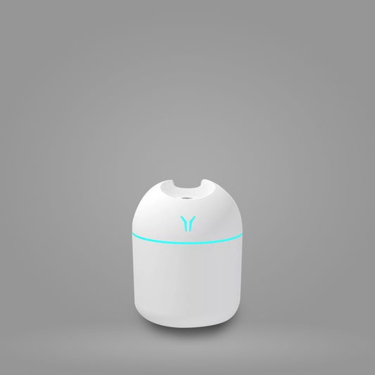 Mini Diffuseur LED Zen - Le Nomade